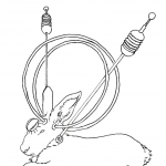 Antenna Bunny 3