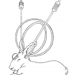 Antenna Bunny 4